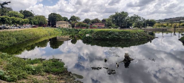 Recuperando o lago